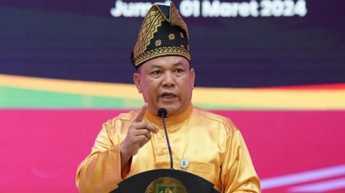 Plt Gubernur Riau, SF Hariyanto.(foto: int)