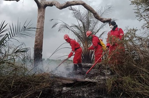 Karhutla di Riau.(ilustrasi/int)