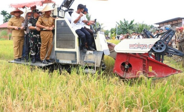 Wamentan RI, Sudaryono panen padi di Kampar (foto/MCR)