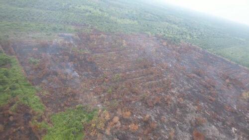 Karhutla di Desa Karya Indah Kecamatan Tapung sekitar perbatasan wilayah Kampar dengan Pekanbaru hingga Kamis (3/7/2025) belum padam. (Foto: Tribun Pekanbaru)