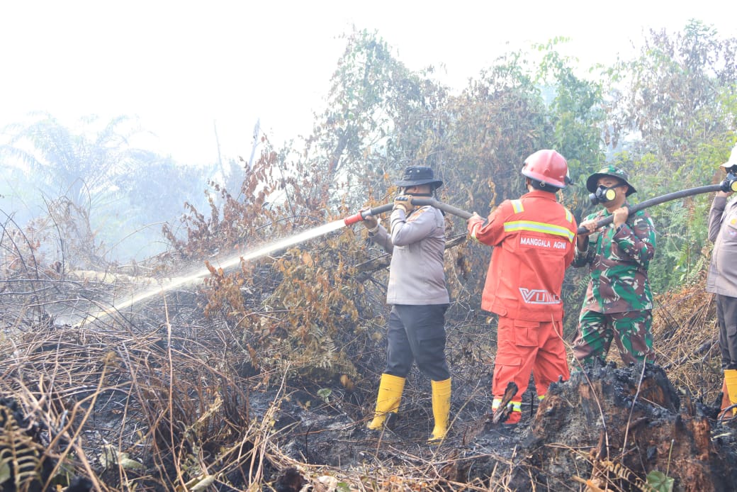 Riau jadi penyumbang terbesar titik lanas di Sumatera (foto/int)