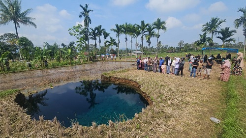 Sinkhole di Situjuah Batua, Sumbar mulai sepi didatangi warga.(foto: int)