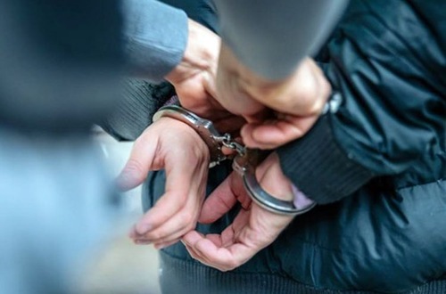 Polisi Pelalawan tangkap kawanan maling.(ilustrasi/int)