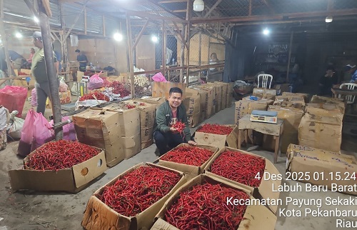 Cabai merah dibanderol Rp56 ribu per kilogram.(foto: sri/halloriau.com)