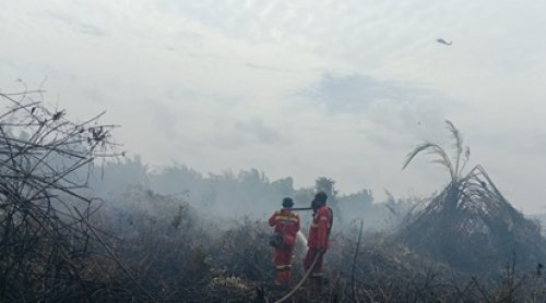 Ilustrasi 27 hotspot menyala di Riau (foto/int)