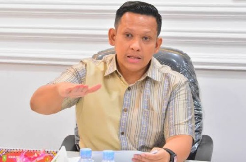 Sekretaris Komisi II DPRD Riau, Androy Ade Rianda.(foto: int)