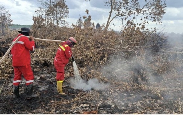 Ilustrasi pemadaman Karhutla di lahan gambut wilayah pesisir Riau (foto/ist)