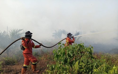 Ilustrasi hotspot di Riau bertambah menjadi 26 titik (foto/int)