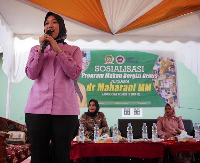 Anggota Komisi IX DPR RI Maharani.