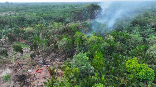 Kebakaran lahan yang terjadi di Dusun I Temeran, Bengkalis, Riau (foto/ist)