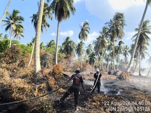 Proses pamadaman Karhutla.