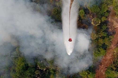 Ilustrasi Bengkalis dan Pelalawan merupakan wilayah di Riau yang terparah terjadi Karhutla (foto/int)