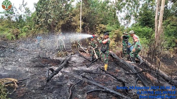 Ilustrasi hotspot di Riau belum sirna meski memasuki musim penghujan (foto/int)