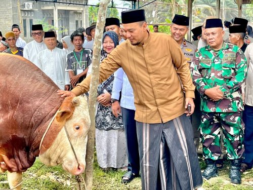 Bupati Inhu, Ade Agus Hartanto saat menyerahkan sapi simental dari Presiden Prabowo untuk warga Seberida.(foto: istimewa)
