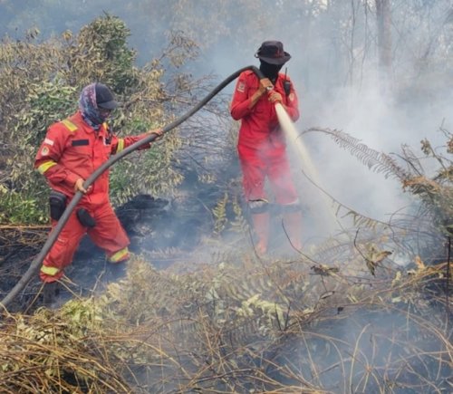Penanganan kebakaran hutan dan lahan (karhutla) di Kelurahan Kerumutan, Kabupaten Pelalawan, Riau.