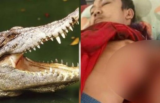 Pemuda diterkam buaya di Inhil, Riau menjelang Idulfitri (foto/ist)