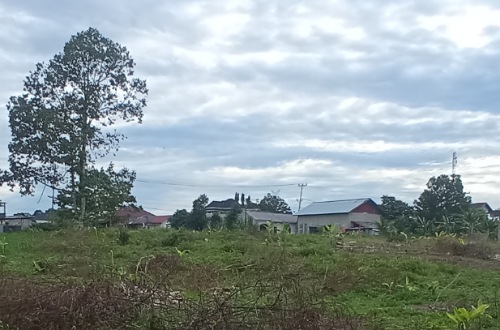 Cuaca cerah di Riau hari ini.(foto: barkah/halloriau.com)