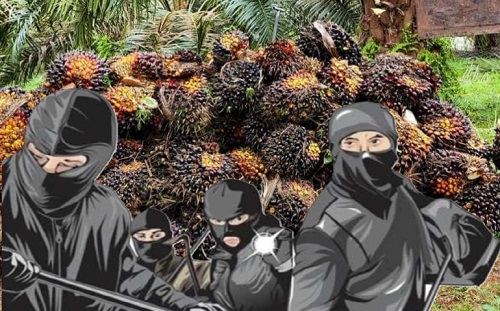 Penangkapan pelaku penggelapan sawit di Pelalawan.(ilustrasi/int)