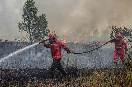 Sebaran titik panas di Sumatera.(ilustrasi/int)