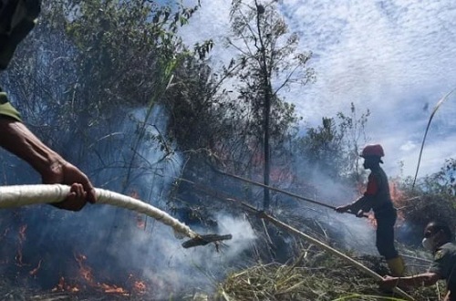 Titik panas di Riau melonjak.(ilustrasi/int)