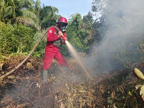 Ilustrasi BMKG Riau menemukan 19 hotspot atau titik panas tersebar di enam wilayah (foto/int)