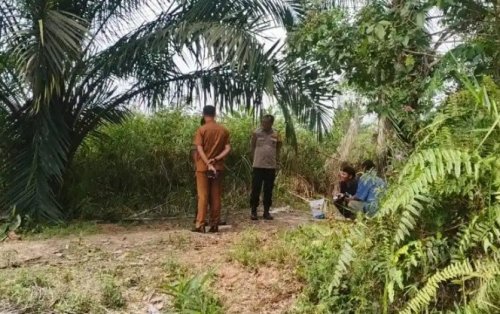 BBKSDA Riau cek lokasi harimau viral di Pasir Putih perbatasan Kampar-Pekanbaru (foto/bbksda riau)