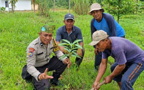 Polsek Rimba Melintang tanam lima bibit mangga di Lenggadai Hilir.(foto: afrizal/halloriau.com)