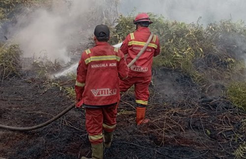 Manggala Agni fokus upaya pendinginan karhutla di Rohil dan Siak.(foto: mcr)