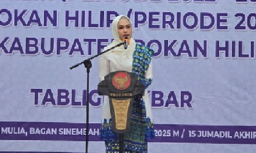 Ketua PD BKMT Kabupaten Rokan Hilir, Dr Hj Karmila Sari (foto/afrizal)