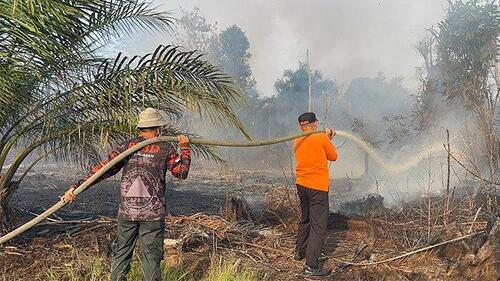Kebakaran hutan dan lahan (karhutla) masih menjadi ancaman nyata di Provinsi Riau. Foto pemadaman di Kecamatan Pangkalan Kerinci pada Selasa (3/6/2025) sore lalu.  (Foto: Tribun Pekanbaru)