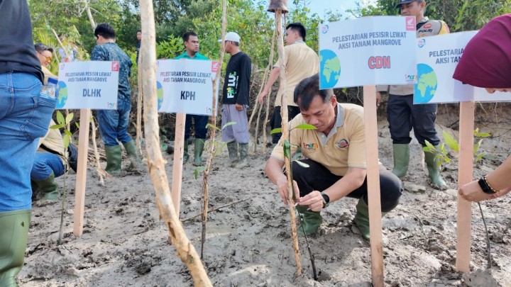 CDN Riau tanam 1.500 batang mangrove di Pelabuhan Dumai bentuk sinergi bagi negeri (foto/ist)