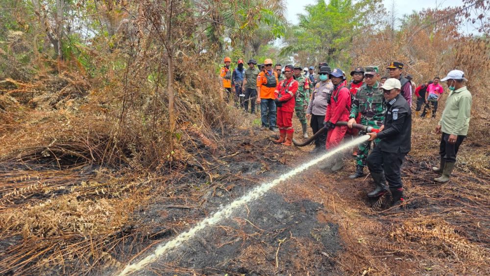 BMKG mencatat 32 titik panas di Sumatera (foto/int)