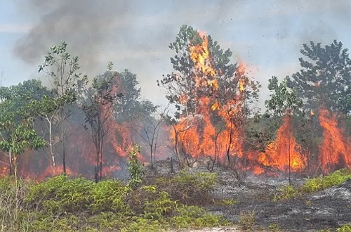 Sebaran titik panas di Sumatera.(ilustrasi/int)