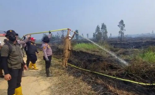 Karhutla Pelalawan menghanguskan 2.750,94 hektar lahan (foto/tribunpku)