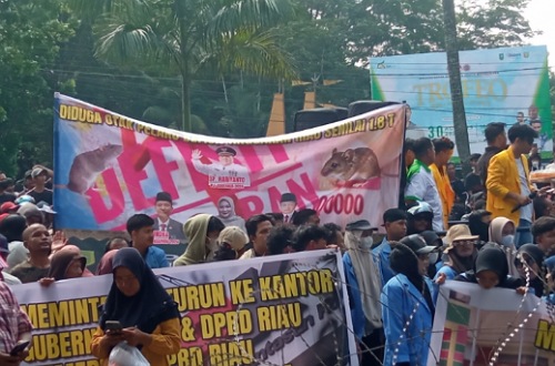 Spanduk SF Hariyanto diapit dua ekor tikus saat demo defisit APBD Riau 2024 di DPRD Riau.(foto: barkah/halloriau.com)