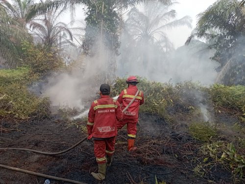 Ilustrasi Manggala Agni berjibaku jinakkan api di Riau (foto/int)