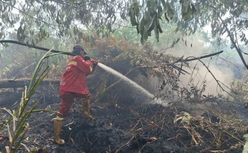 Ilustrasi hotspot terdeteksi enam titik panas di Riau (foto/int)