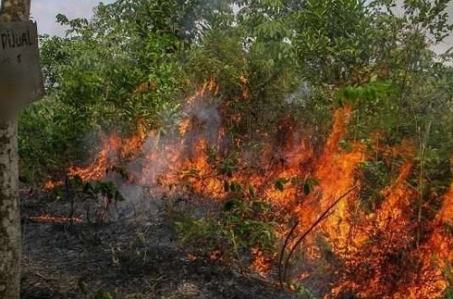 Sebaran titik panas di Riau.(ilustrasi/int)