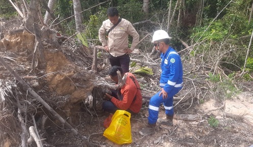 BBKSDA Riau selidiki jejak harimau sumatera di kawasan PHR Minas.(foto: mcr)