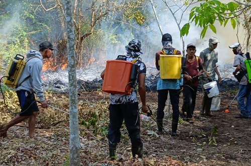 Pemadaman karhutla di Bengkalis.(foto: int)