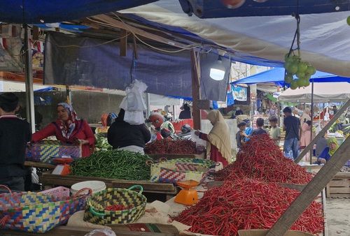 Harga cabai merah di Pekanbaru mengalami lonjakan drastis hingga mencapai Rp100.000 per kilogram. (Foto: Fitri Yani)