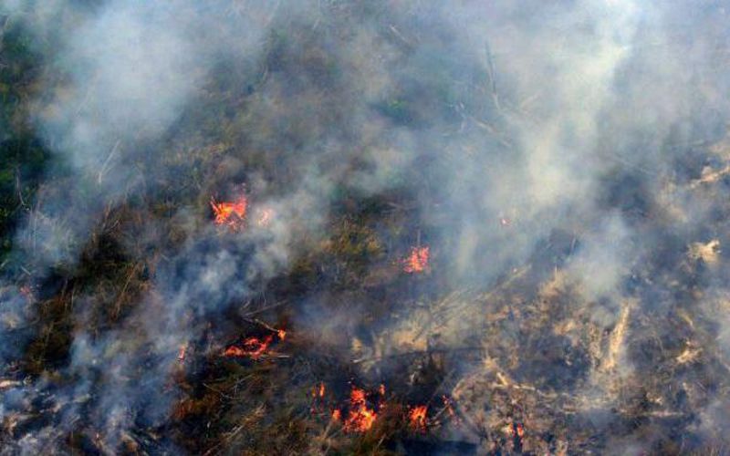 Ilustrasi hotspot di Riau terpantau di Siak hingga Pelalawan (foto/int)