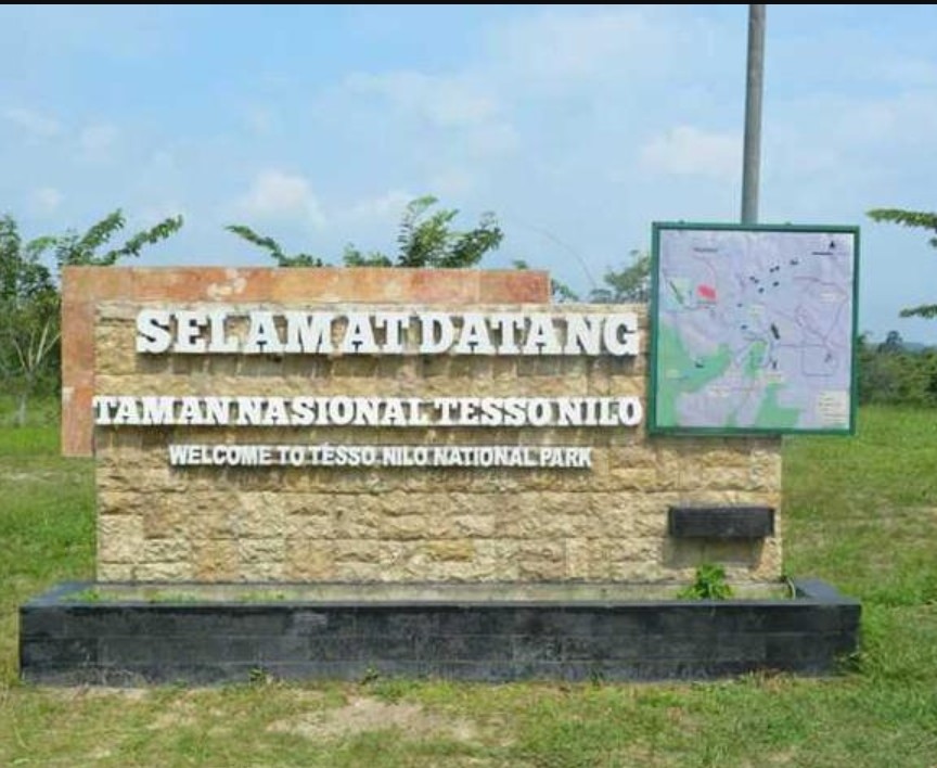 Taman Nasional Tesso Nilo (TNTN) di Kabupaten Pelalawan (internet)