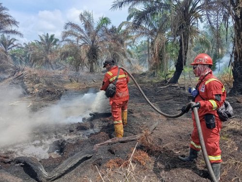 Pekanbaru tetapkan status siaga darurat Karhutla.(foto: mcr)