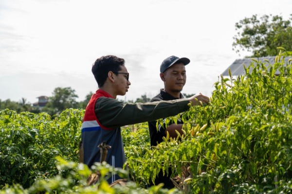 Kilang Pertamina Dumai perkuat ketahanan pangan dan pemberdayaan petani lokal di Dumai (foto/ist)