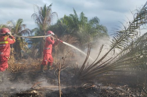 Ilustrasi BMKG masih mendeteksi titik panas di Riau (foto/int)