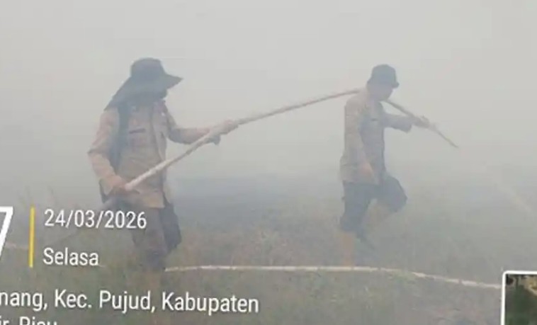 Perjuangan tim gabungan padamkan Karhutla di Rokan Hilir (foto/ist)
