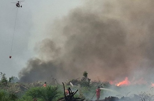 Tiga desa di Pelalawan dikepung Karhutla.(ilustrasi/int)