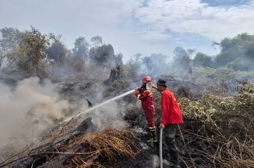 Karhutla di Kampar.(ilustrasi/int)
