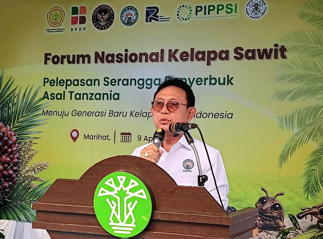 Ketua Umum GAPKI Eddy Martono.